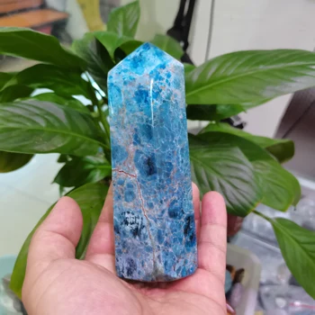 Ritka természeti kék apatite kristálytól természetes kristály reiki gyógyító 600-950g